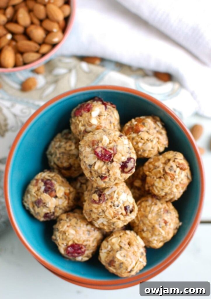 Almond Cranberry Recharge Bites 6 A tastefully arranged serving of Cranberry Almond Energy Bites on a rustic plate, emphasizing their appealing texture and the vibrant mix of ingredients, ready for a healthy snack break.