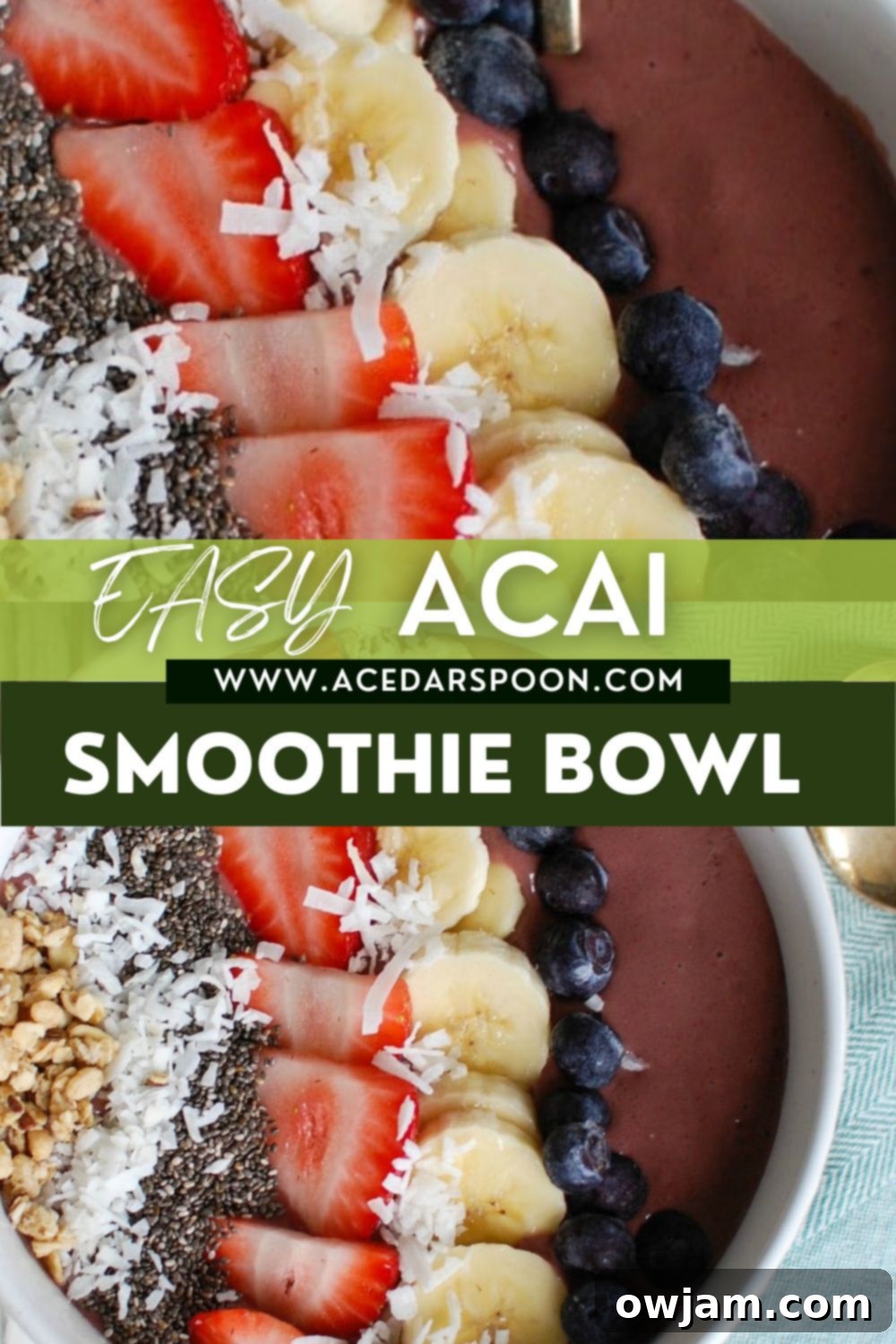 Vibrant Chia Fruit Delight 13 Chia Seeds Fruit Bowl with logo.