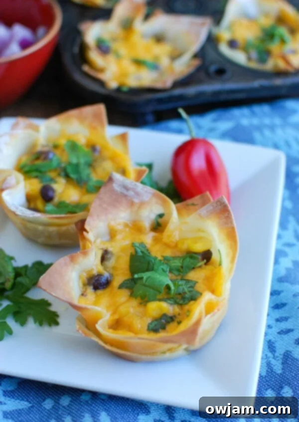 Fiesta Hummus Wonton Bites 2 Crispy Southwestern Hummus Baked Wonton Cups filled with spicy hummus, black beans, corn, and melted cheese, ready to be enjoyed as a snack or party food.