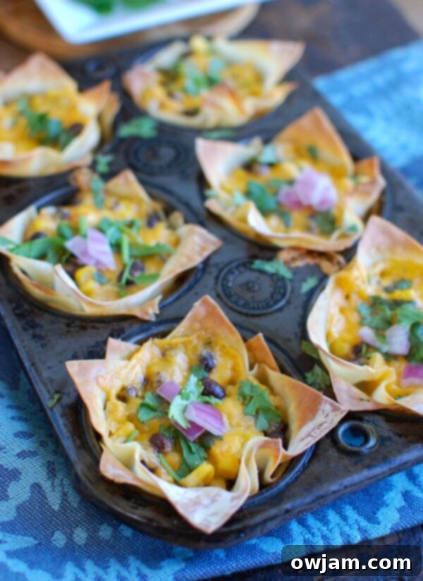 Fiesta Hummus Wonton Bites 4 Wonton wrappers pressed into muffin tins, ready to be filled with the delicious Southwestern hummus mixture.