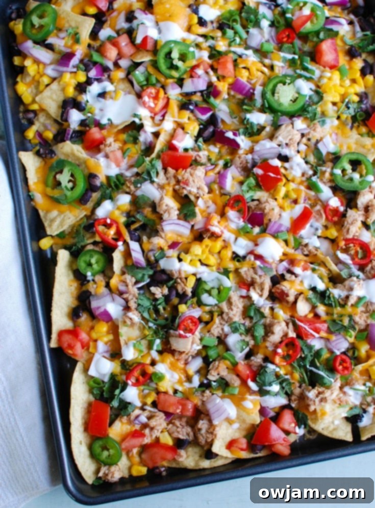 Southwestern Salmon Nachos topped with black beans, corn, cheese, tomatoes, red onion, cilantro, green onion, jalapeños, red chiles and a drizzle of sour cream, baked to perfection.