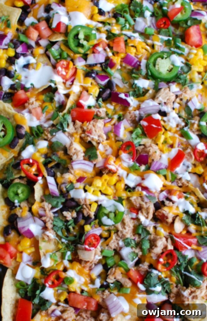 A vibrant platter of Southwestern Salmon Nachos with generous toppings, ready to be served.
