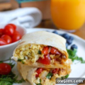 Thumbnail image of a prepared Vegetarian Breakfast Egg Burrito, ready for a quick meal.