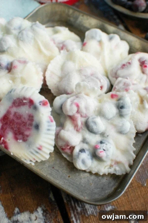 Healthy Frozen Greek Yogurt Fruit Bites 2 Delicious Frozen Greek Yogurt Fruit Bites with fresh berries, a perfect healthy snack.