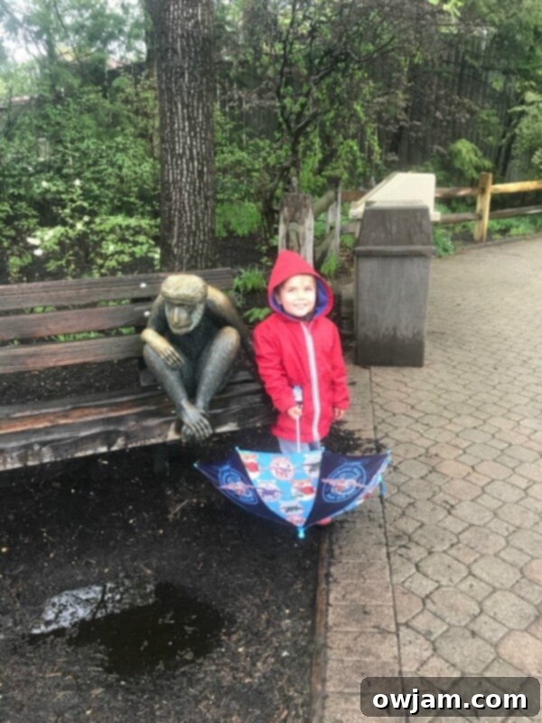 Healthy Frozen Greek Yogurt Fruit Bites 4 Child admiring an animal at the Cleveland Zoo, learning about wildlife.