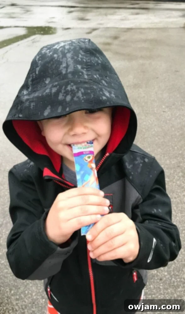 Healthy Frozen Greek Yogurt Fruit Bites 5 Stonyfield organic yogurt pouches, ideal healthy snacks for kids on a zoo trip.