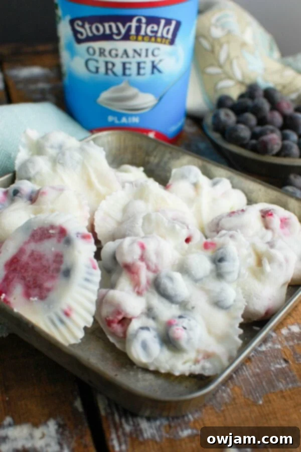 Healthy Frozen Greek Yogurt Fruit Bites 9 Close-up of Frozen Greek Yogurt Fruit Bites with blueberries and raspberries, ready to eat.