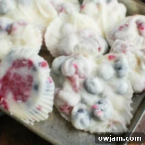 Healthy Frozen Greek Yogurt Fruit Bites 10 Frozen Greek Yogurt Fruit Bites in a bowl