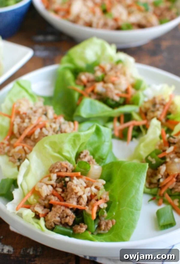 Zesty Pork Lettuce Cups 4 A plate of Asian Pork Lettuce Wraps ready to be served, showing the light and fresh presentation