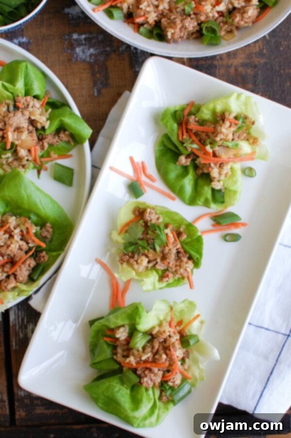 Zesty Pork Lettuce Cups 5 A bowl of Asian Pork Lettuce Wrap filling, with fresh bibb lettuce and garnishes on the side