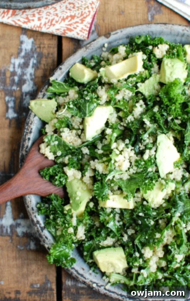 Vibrant Avocado Kale Quinoa Salad 2 A vibrant bowl of Avocado Kale Quinoa Salad featuring chopped kale, creamy avocado slices, and fluffy quinoa, all glistening with a lemon dressing. Ideal for a healthy lunch or dinner side.