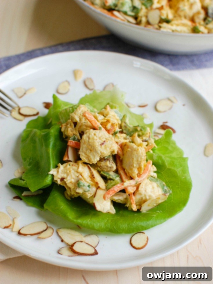 Effortless Curry Chicken Salad 3 A closer look at Simple Curry Chicken Salad, showcasing the creamy texture and colorful mix of ingredients like shredded chicken, golden raisins, and fresh vegetables. Ideal for healthy eating and quick meal solutions.