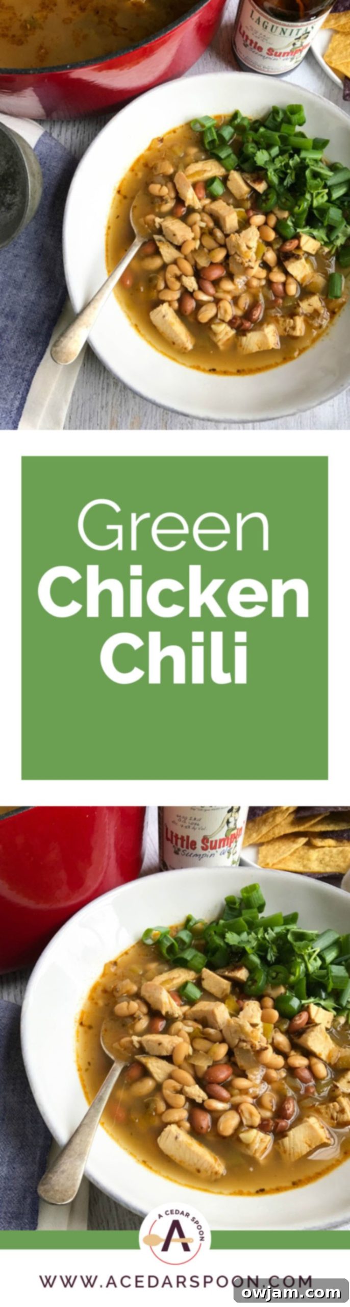 Southwest Green Chicken Chili 6 A large, rustic bowl overflowing with freshly made Green Chicken Chili, garnished with a generous amount of green onions and cilantro, ready for a family meal.