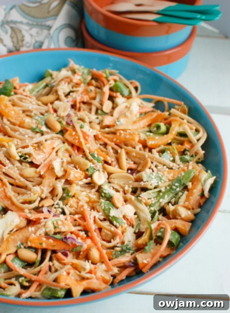 Spicy Peanut Noodle Salad with Fresh Asian Vegetables 2 Vibrant Asian Vegetable Noodle Salad with Spicy Peanut Sauce, garnished with fresh cilantro and crushed peanuts