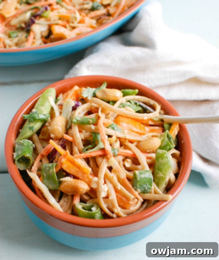 Spicy Peanut Noodle Salad with Fresh Asian Vegetables 4 A bowl of Asian Vegetable Noodle Salad with a serving spoon, ready to be enjoyed.