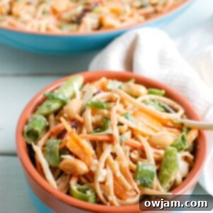 Spicy Peanut Noodle Salad with Fresh Asian Vegetables 5 A dish of Asian Vegetable Noodle Salad with Spicy Peanut Sauce, vibrant and appealing.