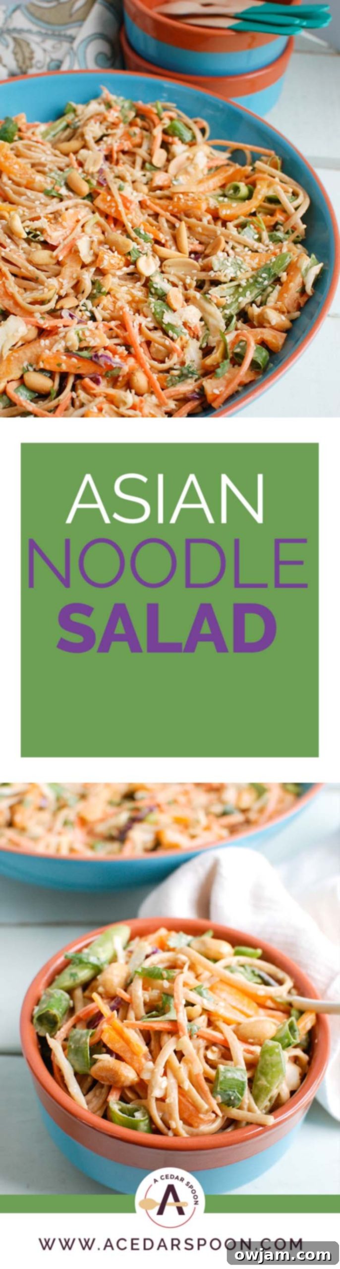Spicy Peanut Noodle Salad with Fresh Asian Vegetables 6 Long Pinterest pin image for Asian Vegetable Noodle Salad with Spicy Peanut Sauce, showcasing the recipe details.