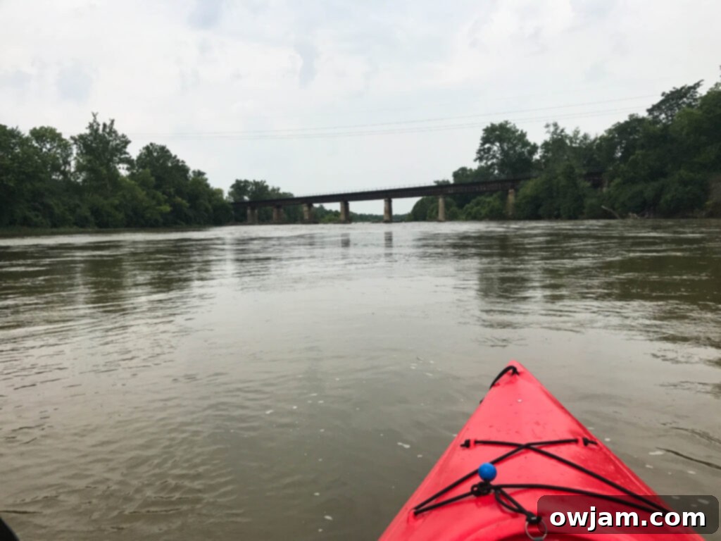 Two kayaks on a river with lush greenery