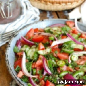 Authentic Persian Tomato Cucumber Medley 7 Persian Tomato Cucumber Salad 1200 x 1200