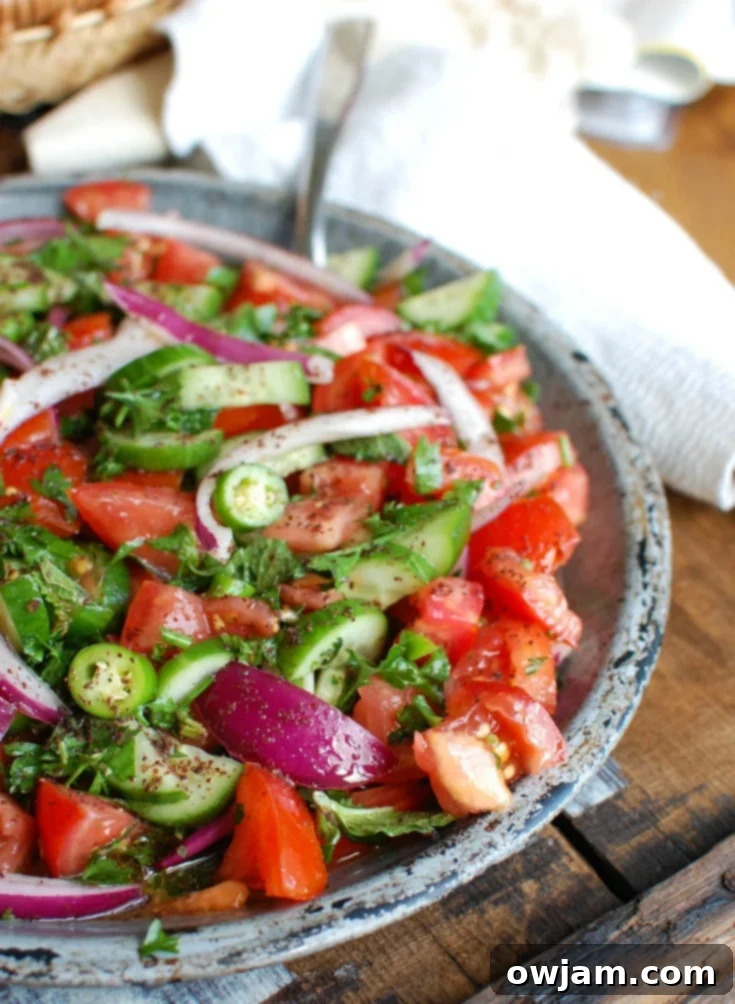 Authentic Persian Tomato Cucumber Medley 6 A vibrant bowl of Persian Tomato Cucumber Salad, glistening with dressing and topped with fresh herbs.