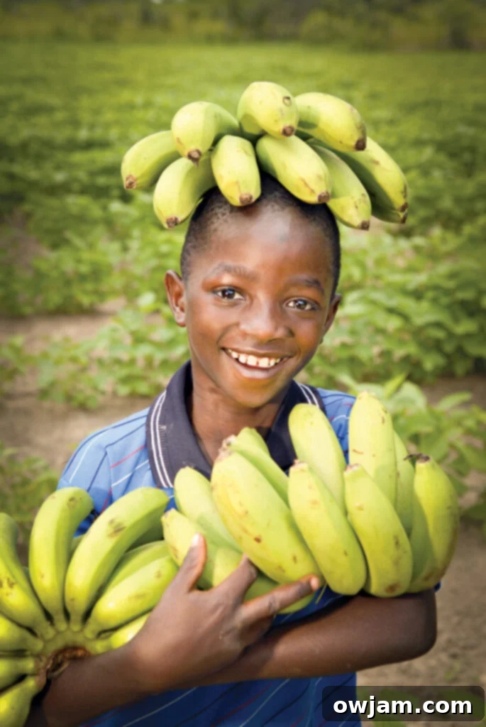 A child holding a fruit tree sapling, symbolizing growth, sustainability, and food security provided by World Vision.