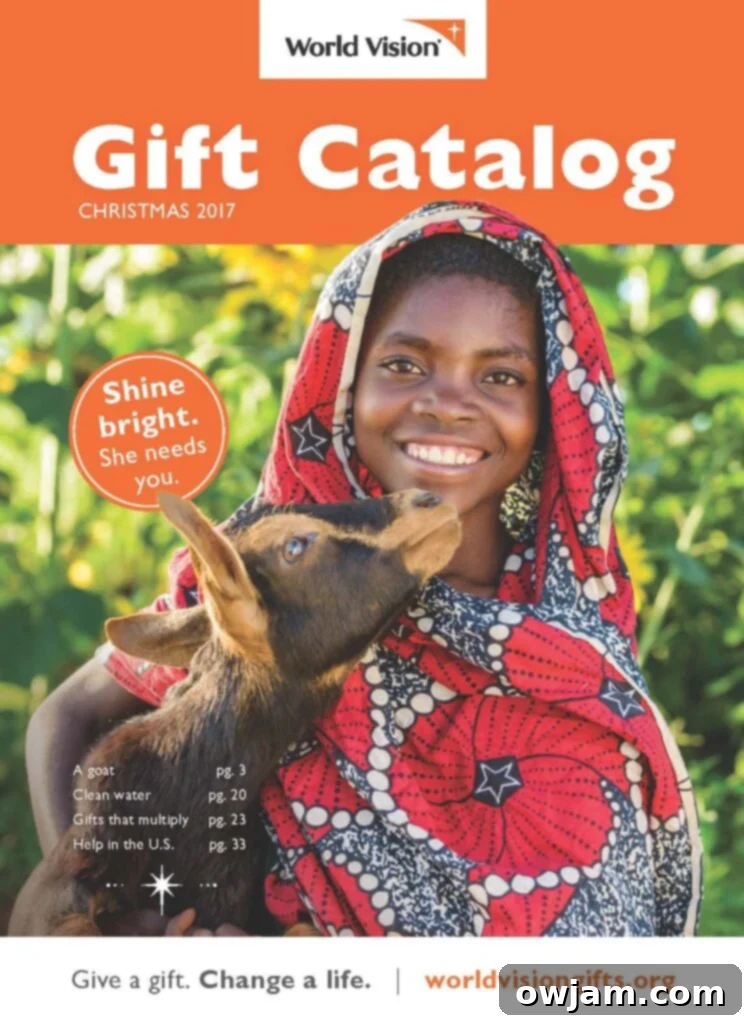 The World Vision Gift Catalog for Holiday 2018, featuring various impactful gifts for a better world.