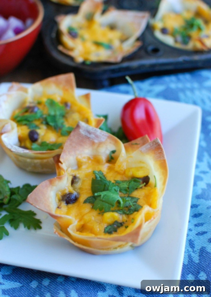 Cheesy Chicken and Broccoli Bake 9 Southwestern Hummus Baked Wonton Cups, crispy wonton shells filled with spicy hummus, black beans, corn, and melted Sargento® Shredded Monterey Jack Cheese, garnished with cilantro.