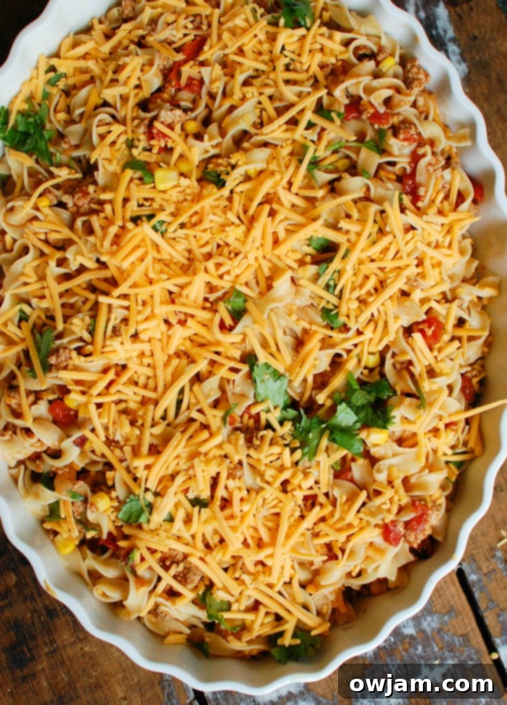 A freshly baked Easy Mexican Noodle Casserole, bubbly and golden from the oven, with melted cheese and a generous sprinkle of fresh cilantro.