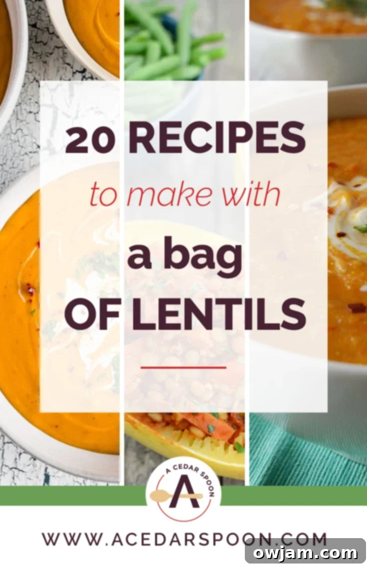 A vibrant collection of 20 delicious and healthy lentil recipes, including soups, salads, and main courses, perfect for any meal.