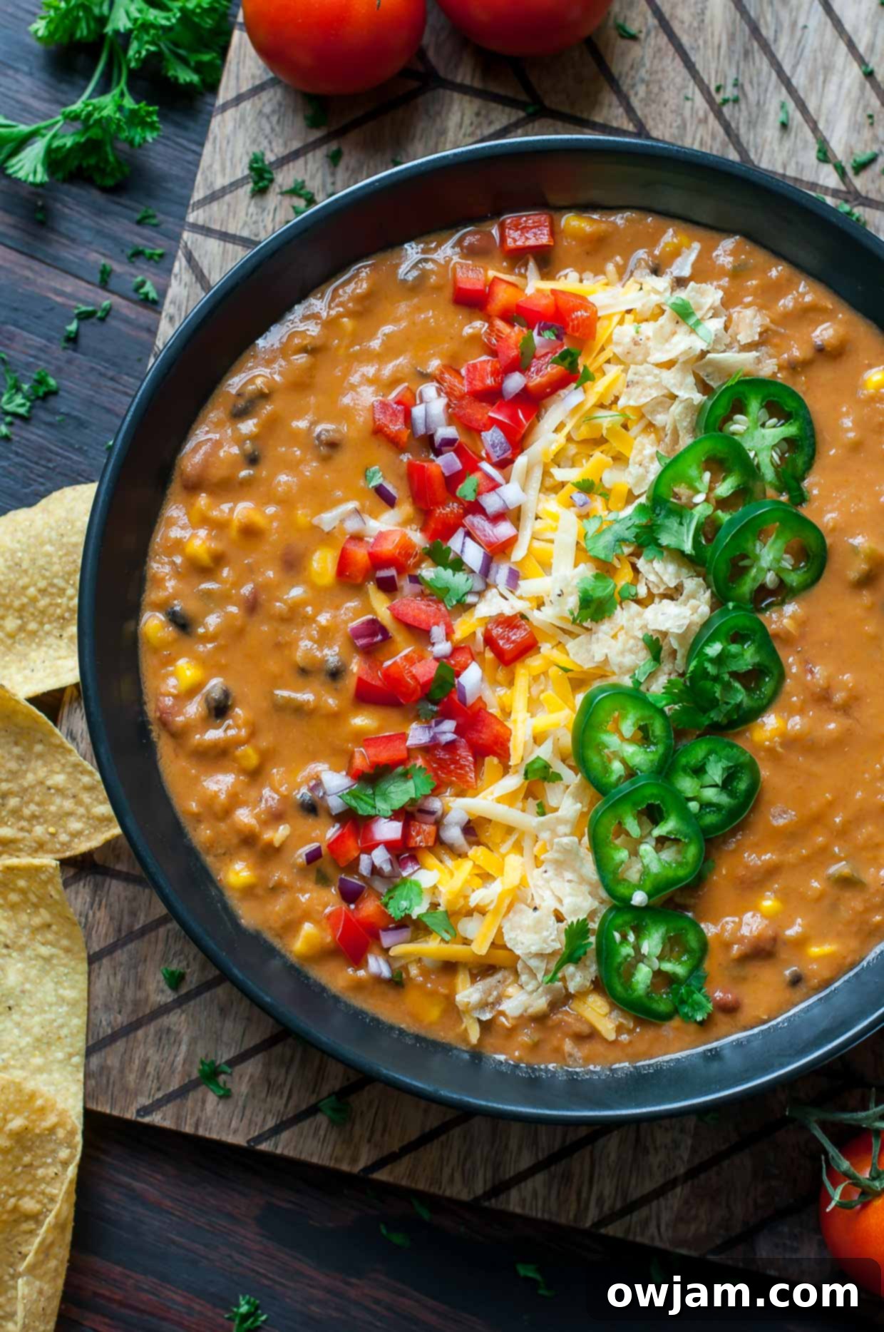 Creamy vegetarian lentil tortilla soup topped with fresh cilantro and avocado.