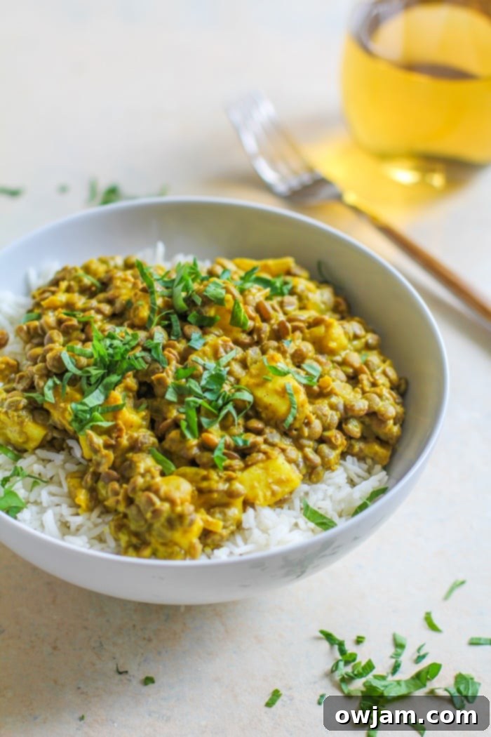 Yellow curry lentils served with golden pan-fried halloumi cheese and fresh herbs.
