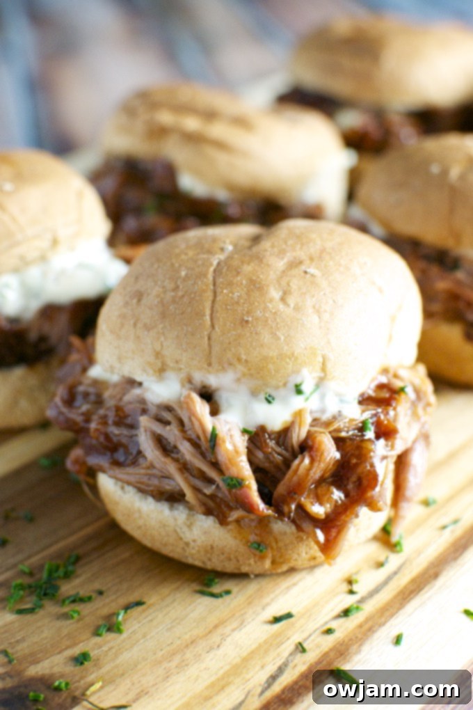 14 Essential Pork Recipes 11 Delicious Pulled Pork Sliders with a creamy Garlic Aioli, perfect for parties.