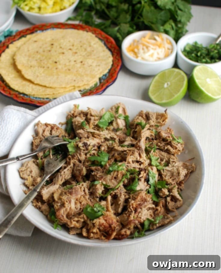 14 Essential Pork Recipes 13 Authentic Slow Cooker Pork Carnitas with crispy edges, ready for tacos or bowls.