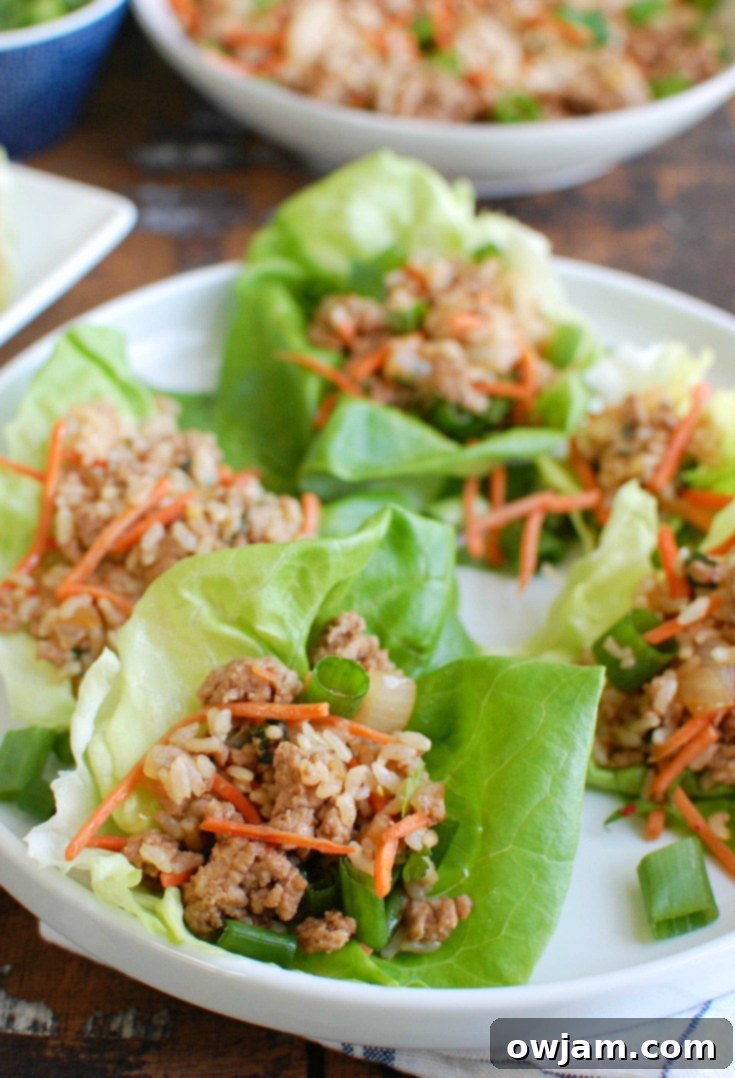 14 Essential Pork Recipes 3 Fresh Asian Pork Lettuce Wraps, filled with savory ground pork, cilantro, and matchstick carrots.
