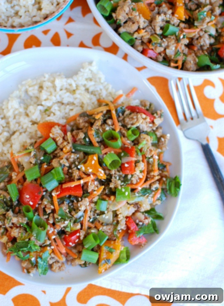 Effortless Thai Pork Stir-Fry 2 Easy Thai Pork Stir-Fry with ground pork, bell peppers, carrots, and bok choy served over rice