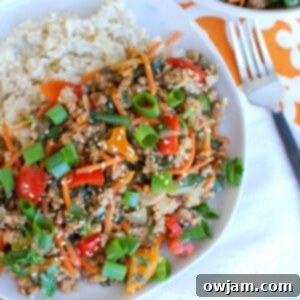 Effortless Thai Pork Stir-Fry 7 Easy Thai Pork Stir-Fry 1200 x 1200