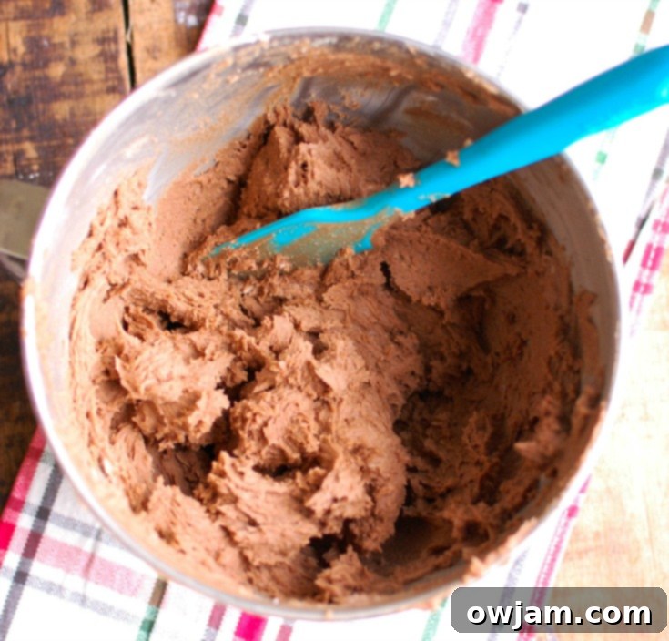 Mixing the cookie dough ingredients for Gluten-Free Chocolate Snickerdoodles