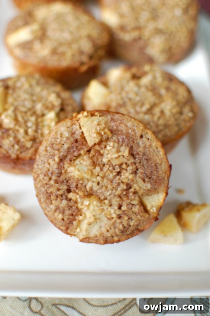 Baked Apple Cinnamon Steel Cut Oat Cups make an easy, make-ahead breakfast or snack that is heart healthy and filling. Steel cut oats are mixed together with Greek yogurt, applesauce, cinnamon and apples to create a delicious oatmeal cup.