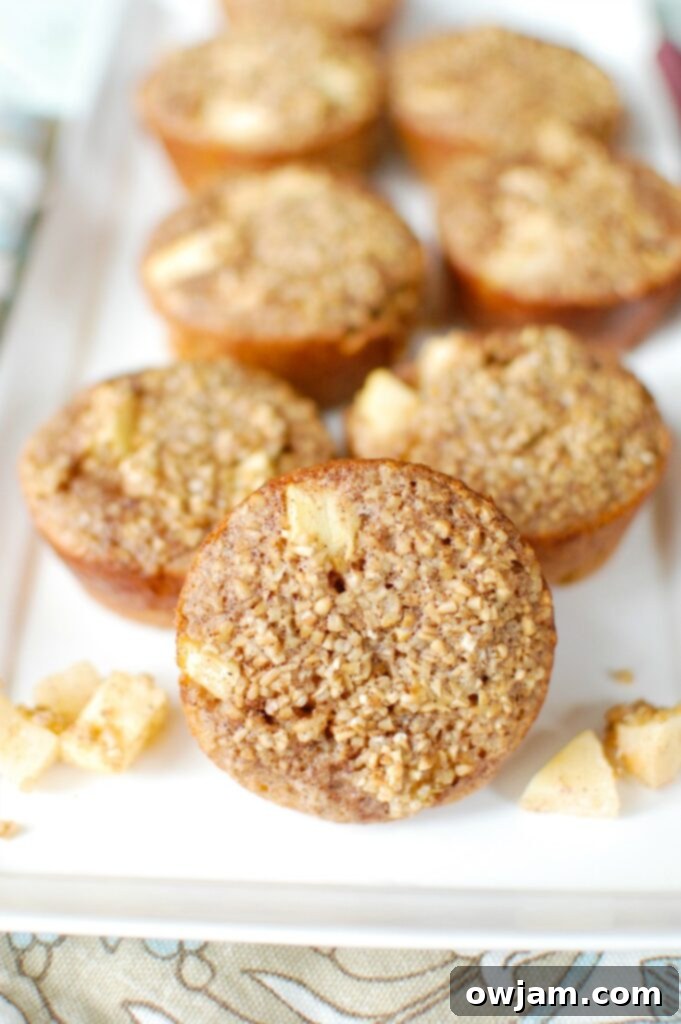 Baked Apple Cinnamon Steel Cut Oat Cups make an easy, make-ahead breakfast or snack that is heart healthy and filling. Steel cut oats are mixed together with Greek yogurt, applesauce, cinnamon and apples to create a delicious oatmeal cup.