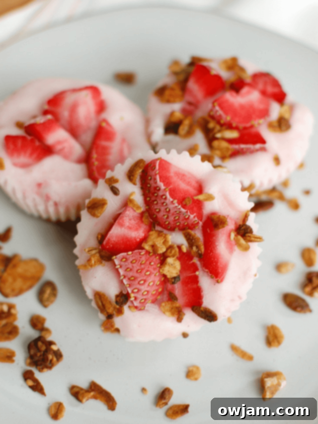 Chilled Granola Yogurt Poppers 2 Frozen Yogurt Granola Bites on plate