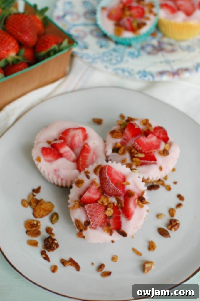 Chilled Granola Yogurt Poppers 3 Frozen Yogurt Granola Bites on plate