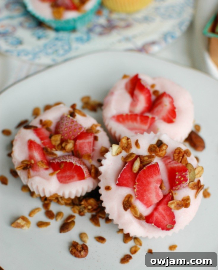 Chilled Granola Yogurt Poppers 4 Frozen Yogurt Granola Bites with granola on plate