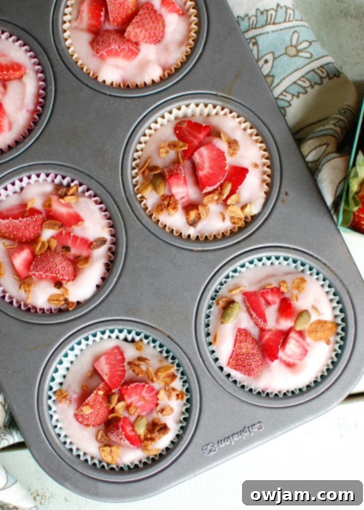 Chilled Granola Yogurt Poppers 5 Frozen Yogurt Granola Bites in tin