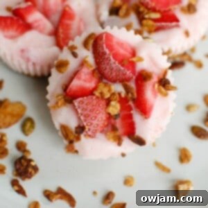 Chilled Granola Yogurt Poppers 6 Frozen Yogurt Granola Bites 1200 x 1200