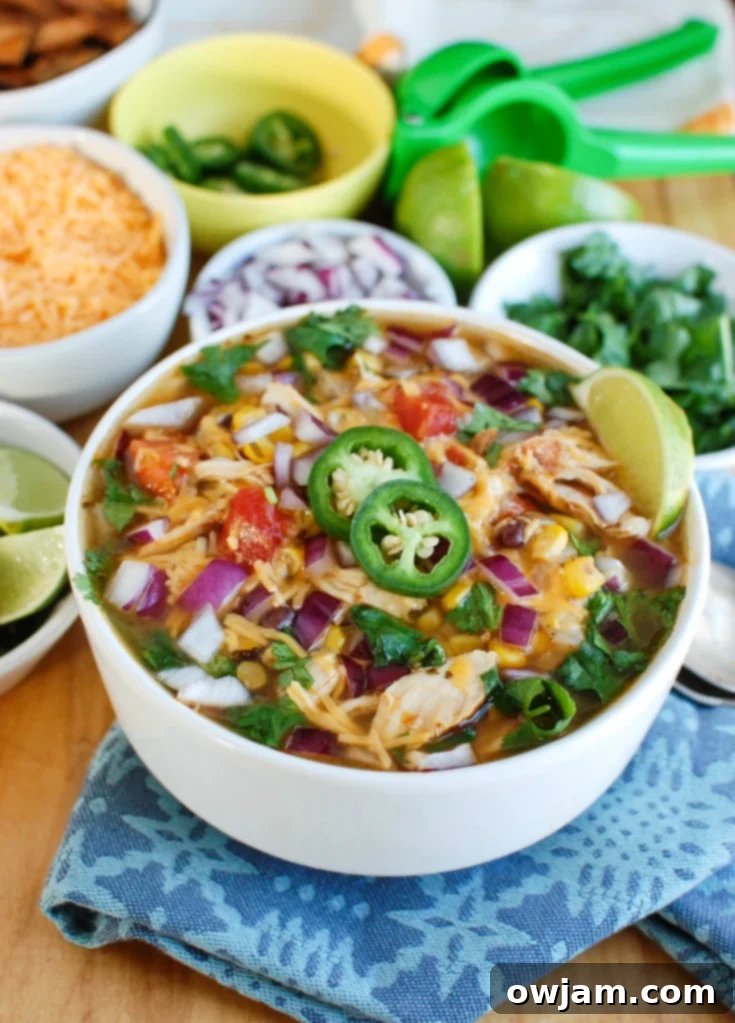Quick and Easy Instant Pot Chicken Tortilla Soup 2 A bowl of Instant Pot Chicken Tortilla Soup, garnished with fresh cilantro and a lime wedge, ready to be served.