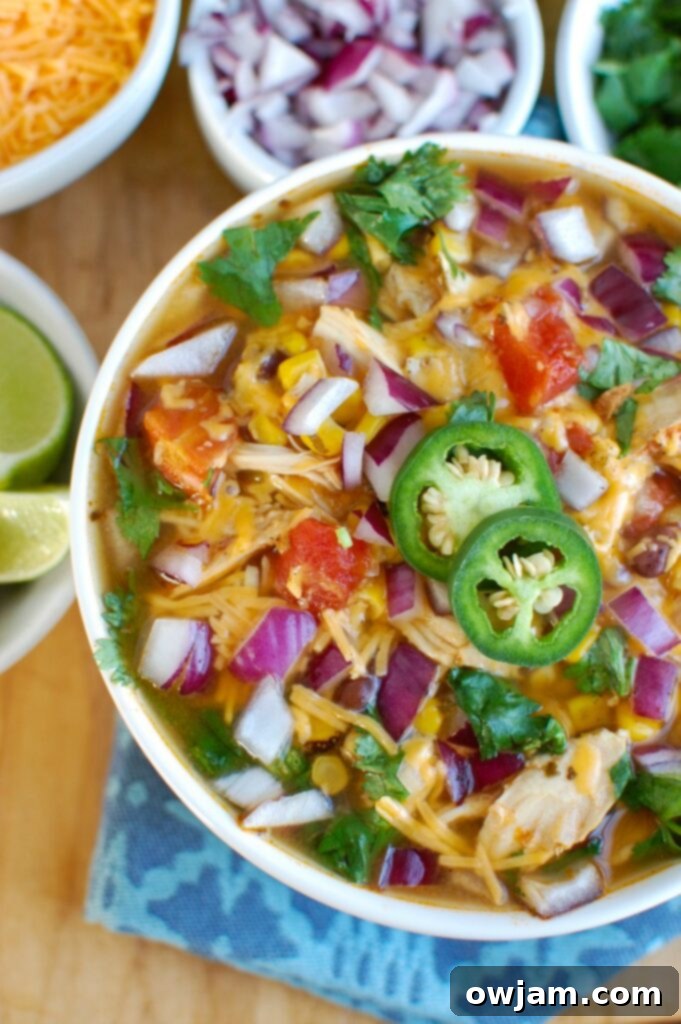 Quick and Easy Instant Pot Chicken Tortilla Soup 4 An overhead shot of Instant Pot Chicken Tortilla Soup in a bowl, showing the rich texture and colorful ingredients.