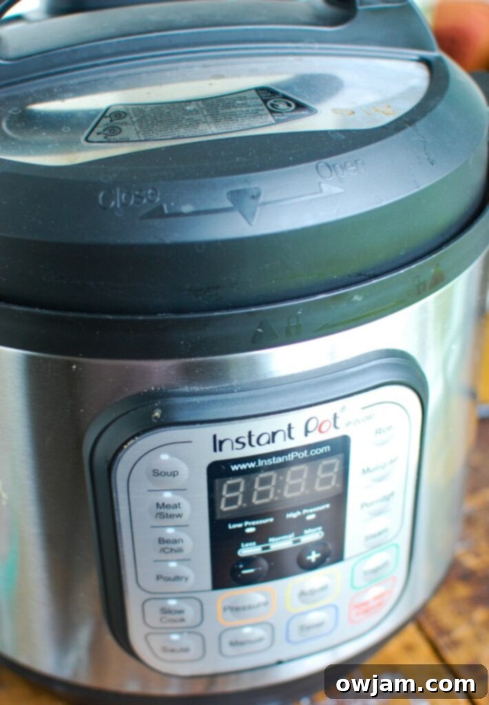 Quick and Easy Instant Pot Chicken Tortilla Soup 5 A close-up of an Instant Pot pressure cooker, highlighting its convenience for making quick meals.