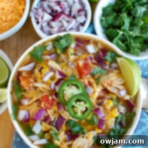 Quick and Easy Instant Pot Chicken Tortilla Soup 6 Instant Pot Chicken Tortilla Soup with lime