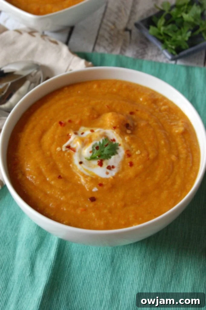 Hearty Instant Pot Lentil Soup 3 Instant Pot Lentil Soup with Parsley
