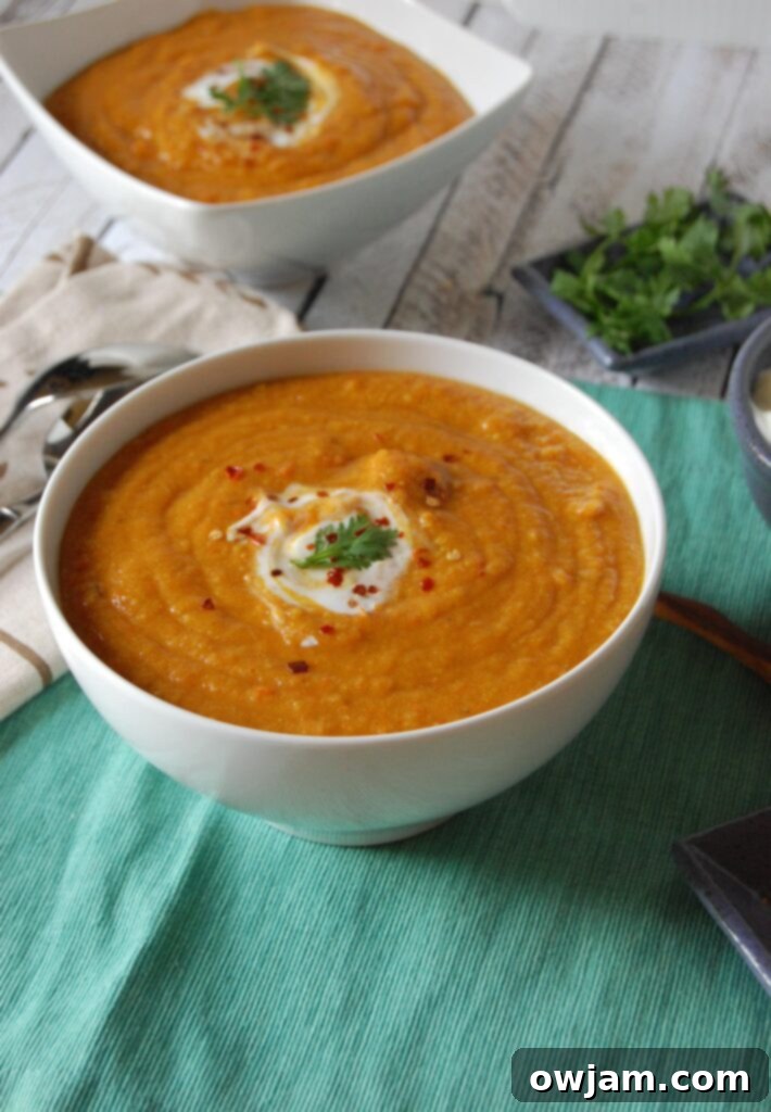 Hearty Instant Pot Lentil Soup 5 Instant Pot Lentil Soup Two Bowls